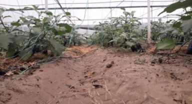 Alanya’da seraları su bastı