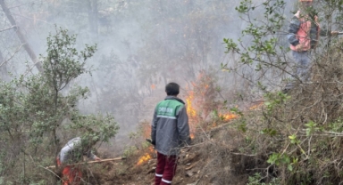 Alanya’da ormanlık alanda yangın çıktı