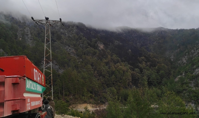 Alanya'daki orman yangını kontrol altına alındı