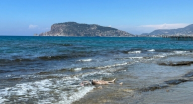 Alanya'da deniz kıyısında erkek cesedi bulundu
