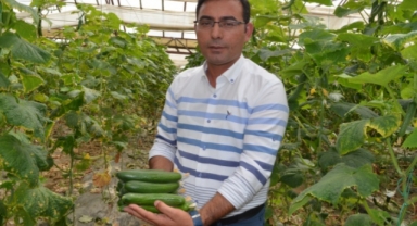 Alanya’da salatalıkta kriz kapıda