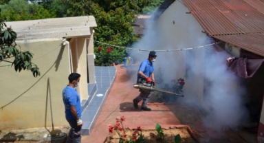 Alanya'da piknik yerleri ilaçlanıyor