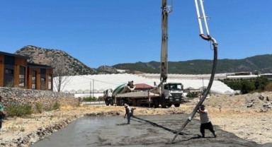 Alanya’ya Avokado Paketleme Tesisi geliyor