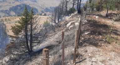 Alanya'da ağaçlık alanda çıkan yangın söndürüldü