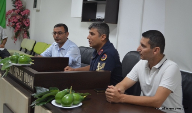 Alanya’da avokado bahçeleri için komando timi geliyor