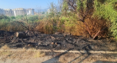 Alanya’da çalılık alanda çıkan yangın büyümeden söndürüldü