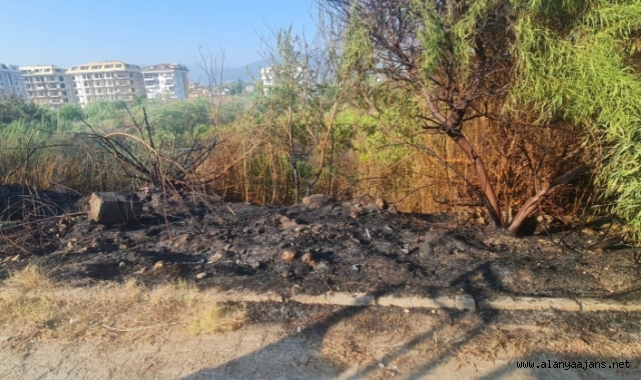 Alanya’da çalılık alanda çıkan yangın büyümeden söndürüldü
