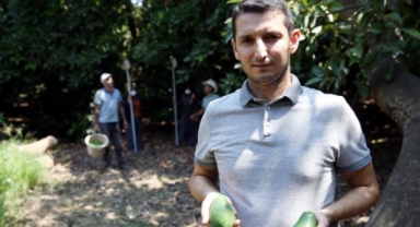 Alanya'da hırsızların ifşa edilmesini isteyen Hilmi Sevilgen’den tepki!