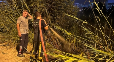 Alanya’da otluk alanda çıkan yangın büyümeden söndürüldü