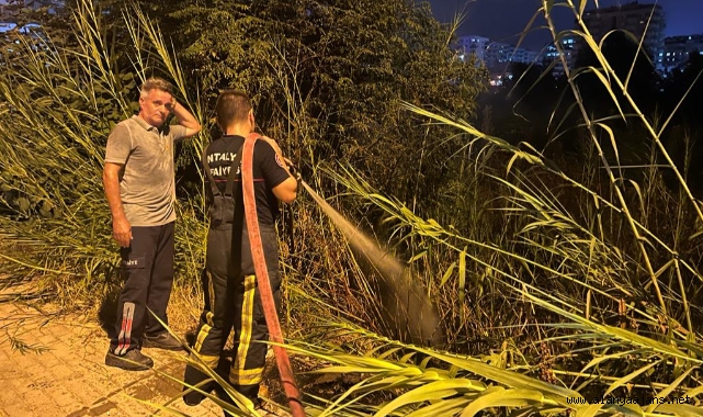 Alanya’da otluk alanda çıkan yangın büyümeden söndürüldü
