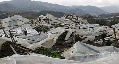  Alanya’da 250 dönümü hortum vurdu
