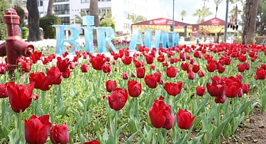 Alanya'da laleler renk cümbüşü oluşturdu