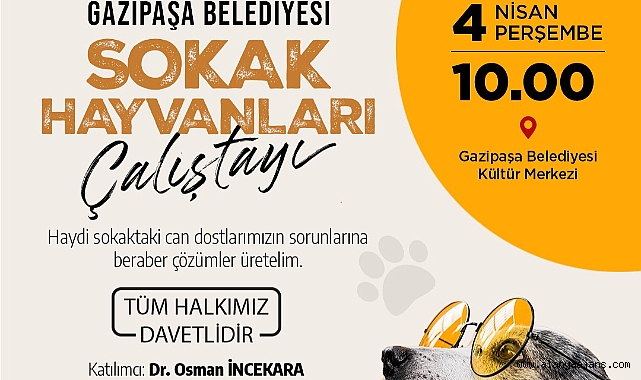 Gazipaşa'da sokak hayvanları çalıştayı düzenleniyor