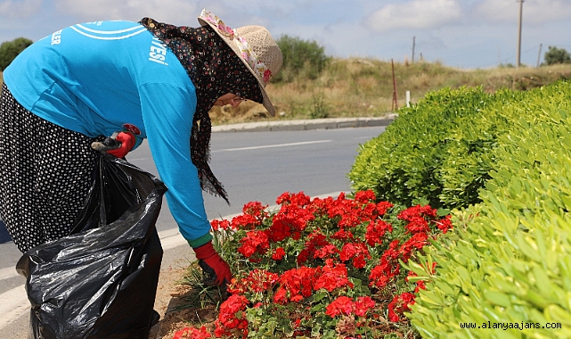 ALANYA ÇİÇEK BAHÇESİNE DÖNÜYOR