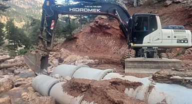 Kırsalda hummalı çalışma