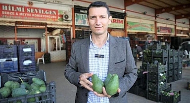 Avokado üreticilerinin seçimi var