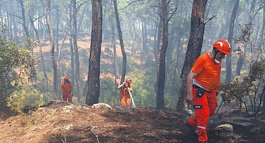 Orman yangını söndürüldü