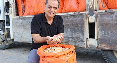 GAZİPAŞA CİMBİTİ NOHUTU HASADINI TAMAMLADI