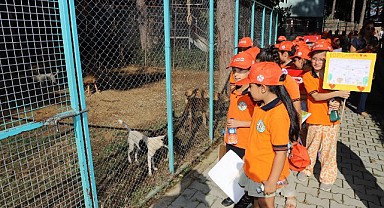 Hayvanları koruma gününde barınağa ziyaret