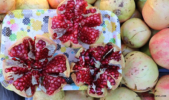 GAZİPAŞA 15. ÇEKİRDEKSİZ NAR FESTİVALİ'NE HAZIR