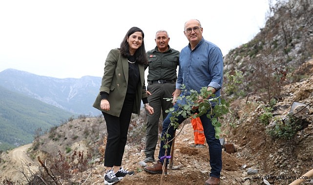 FİDANLAR KADINA KARŞI ŞİDDETLE MÜCADELE İÇİN TOPRAKLA BULUŞTU