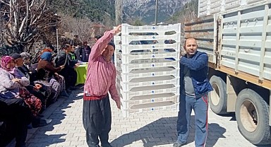 İpekböcekçiliği yeniden canlandırılıyor 