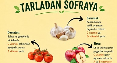 Bitkilerin gücü projesi kabul edildi