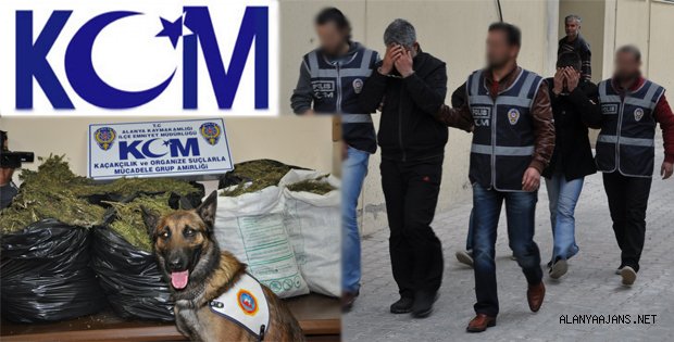 74 KİLO ESRAR YAKALANDI