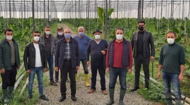 AK Partili Aydın muz üreticilerinin sorunlarını dinledi