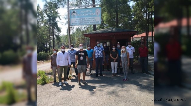 Alanya Belediyesi 1 ayda 212 hayvanı tedavi etti