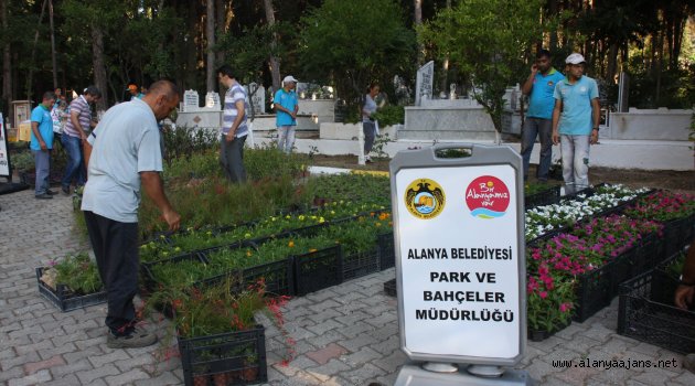Alanya Belediyesi 42 Bin Çiçek Dağıtacak