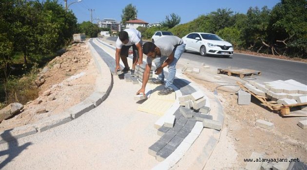 Alanya Belediyesi çalışmalarını sürdürüyor