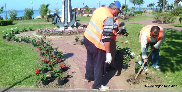 ALANYA BELEDİYESİ MEVSİMLİK ÇİÇEK DİKİMİNE BAŞLADI