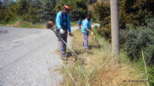 Alanya Belediyesi yollarda bakım ve temizlik yapıyor