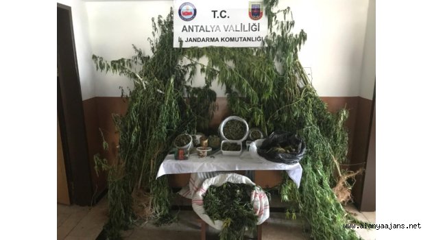 Alanya’da 6 kilo esrar ele geçirildi