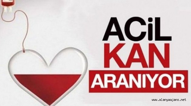 Alanya’da acil kan aranıyor!