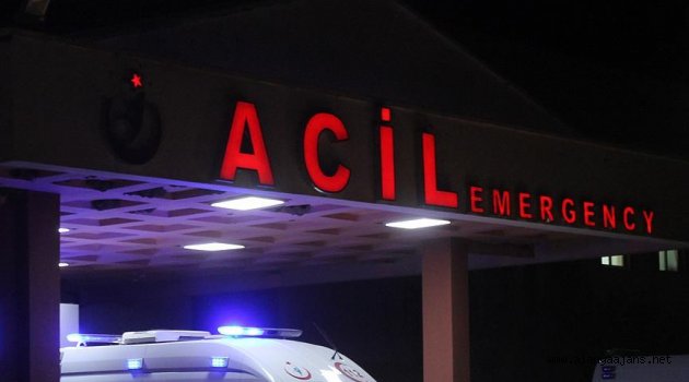 Alanya’da ağaçtan düşen adam yaralandı
