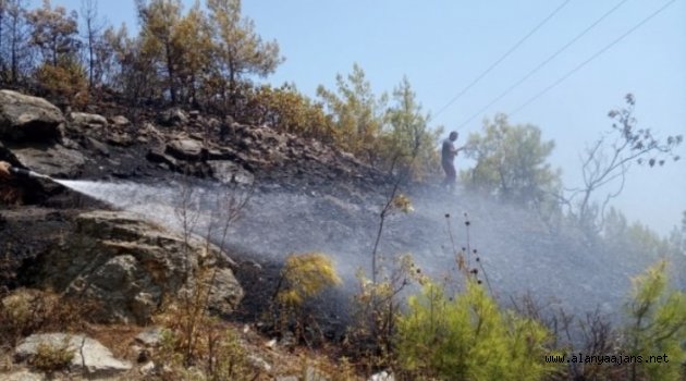 Alanya’da çalı yangını korkuttu