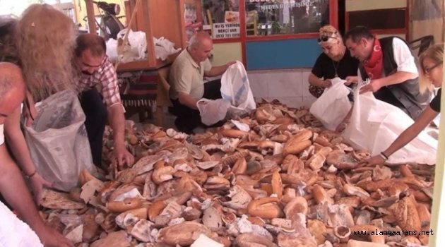 Alanya’da çöpe atılan ekmekler hayvanlara yem olacak