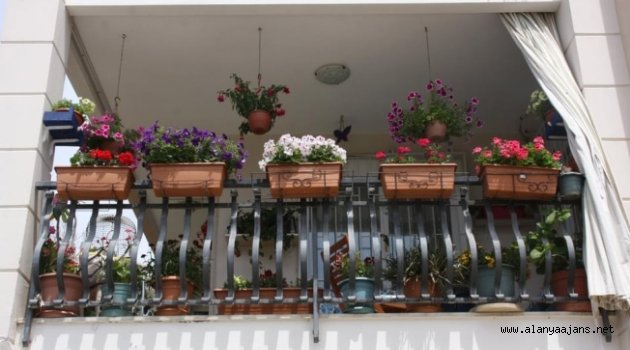 Alanya’da en güzel balkon ve bahçe ödüllendirilecek