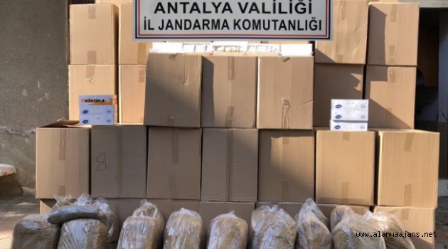 Alanya’da jandarmadan kaçak tütün operasyonu
