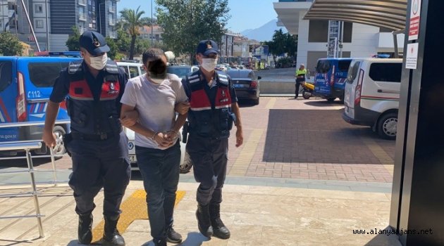 Alanya’da jandarmadan seraya uyuşturucu baskını