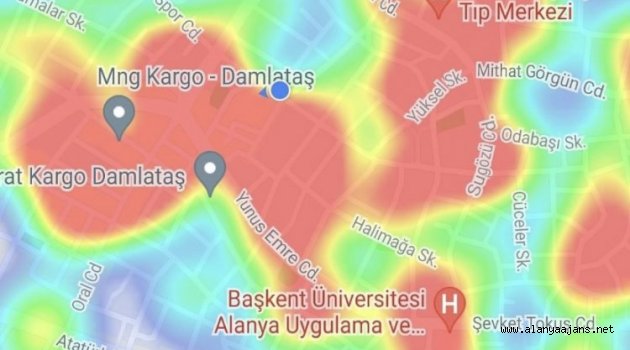 Alanya’da korkutucu tablo!