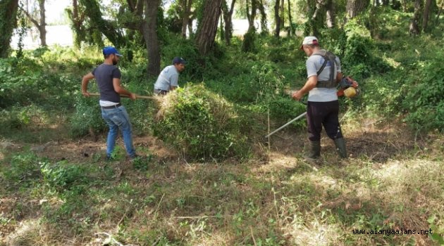 Alanya’da mezarlıklarda kapsamlı temizlik