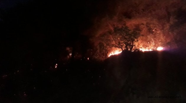 Alanya’da ormanlık alanda yangın çıktı
