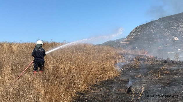Alanya’da otluk alanda yangın çıktı