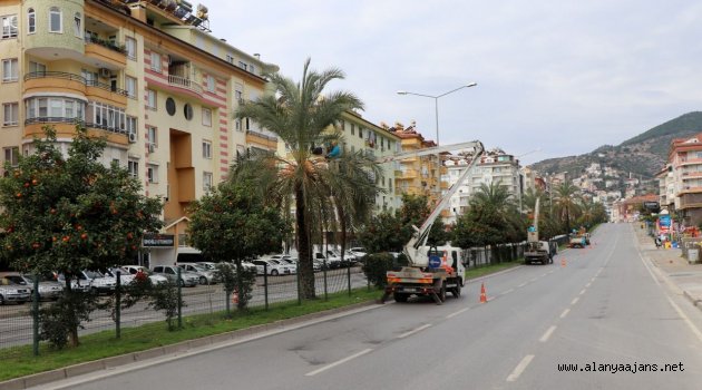 Alanya’da Park ve Bahçeler Müdürlüğü kısıtlamayı fırsata çevirdi