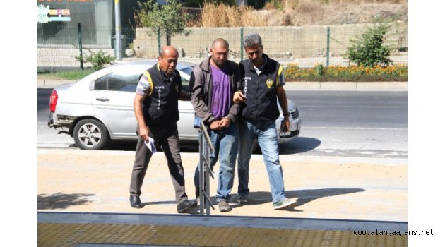 Alanya’da plaj faresi yakalandı