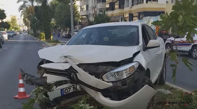 Alanya’da refüje çıkan otomobil ağaca çarptı