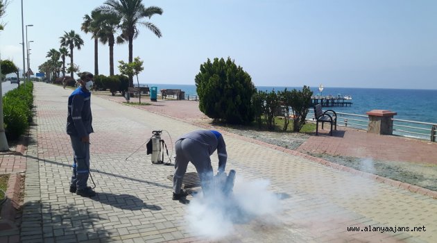 Alanya’da sinek savarlar gece gündüz çalışıyor